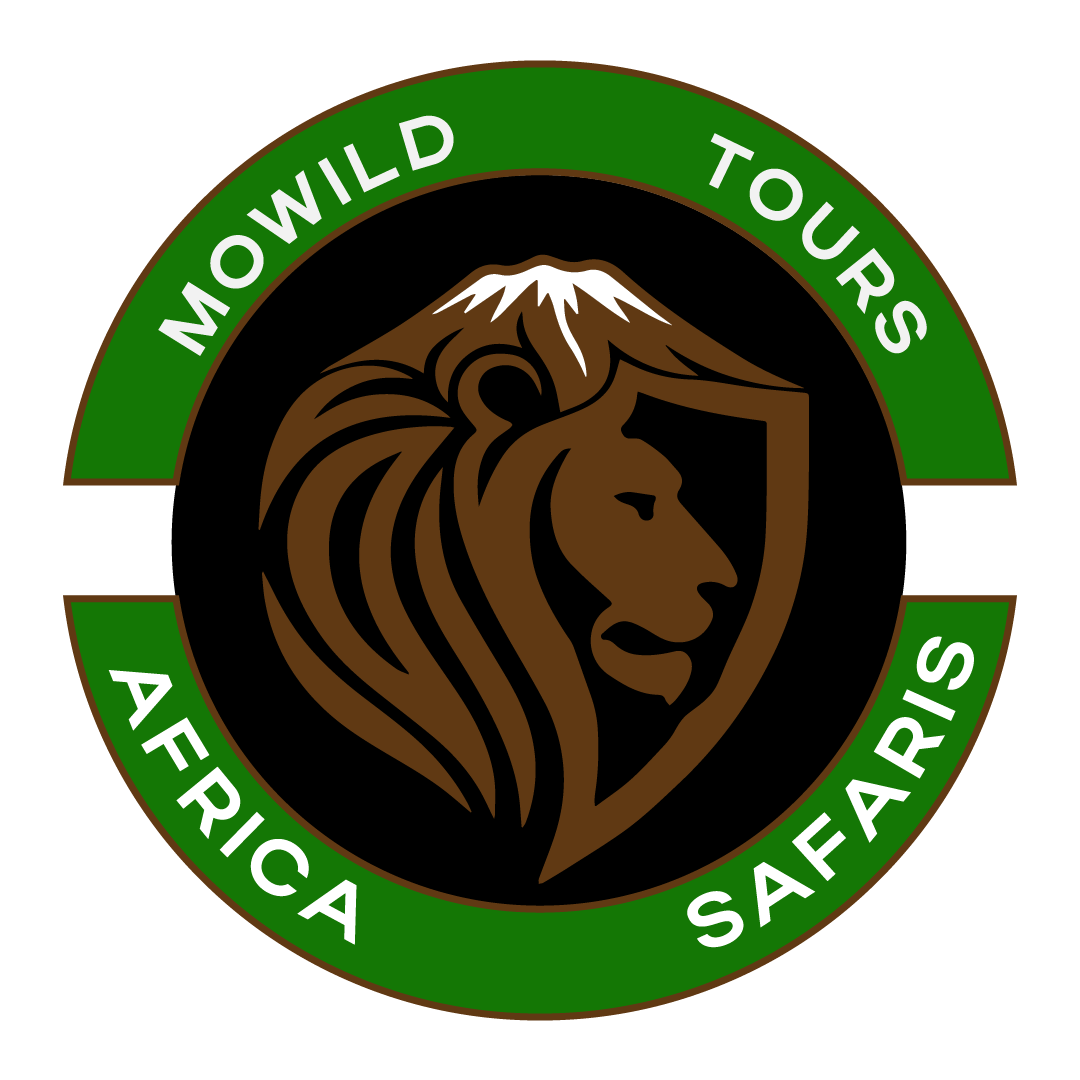 Site Logo